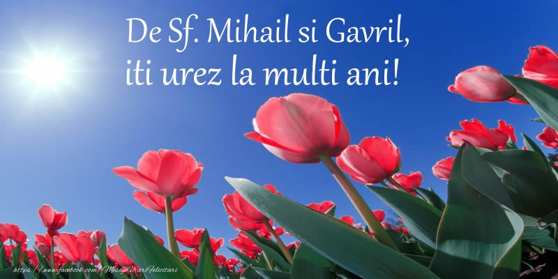 De Sf. Mihail si Gavril, iti urez La multi ani! - Felicitari onomastice de Sfintii Mihail si Gavril cu flori