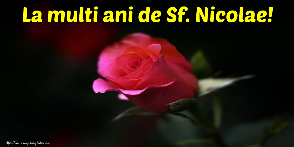 La multi ani de Sf. Nicolae! - Felicitari onomastice de Sfantul Nicolae cu flori