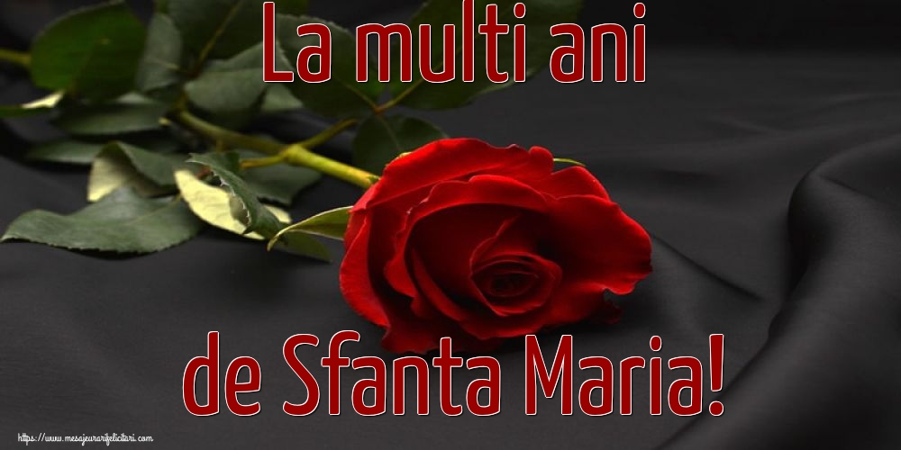 La multi ani de Sfanta Maria! - Felicitari onomastice de Sfanta Maria Mica cu flori