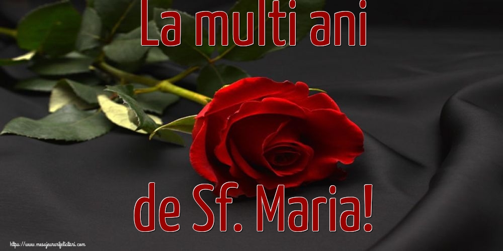 La multi ani de Sf. Maria! - Felicitari onomastice de Sfanta Maria Mica cu flori