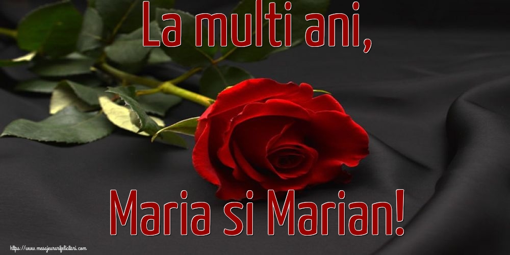 La multi ani, Maria si Marian! - Felicitari onomastice de Sfanta Maria Mica cu flori
