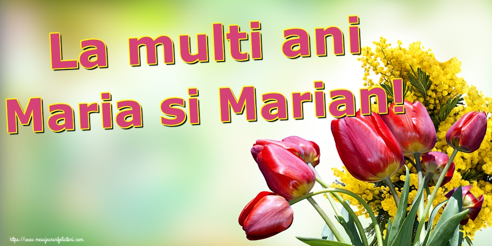 La multi ani Maria si Marian! - Felicitari onomastice de Sfanta Maria Mica