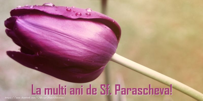 La multi ani de Sf. Parascheva! - Felicitari onomastice de Sfanta Parascheva