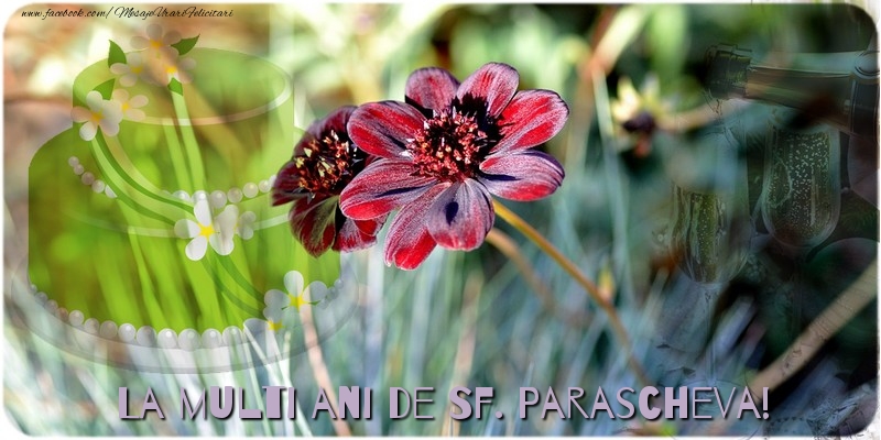 La multi ani de Sf. Parascheva! - Felicitari onomastice de Sfanta Parascheva