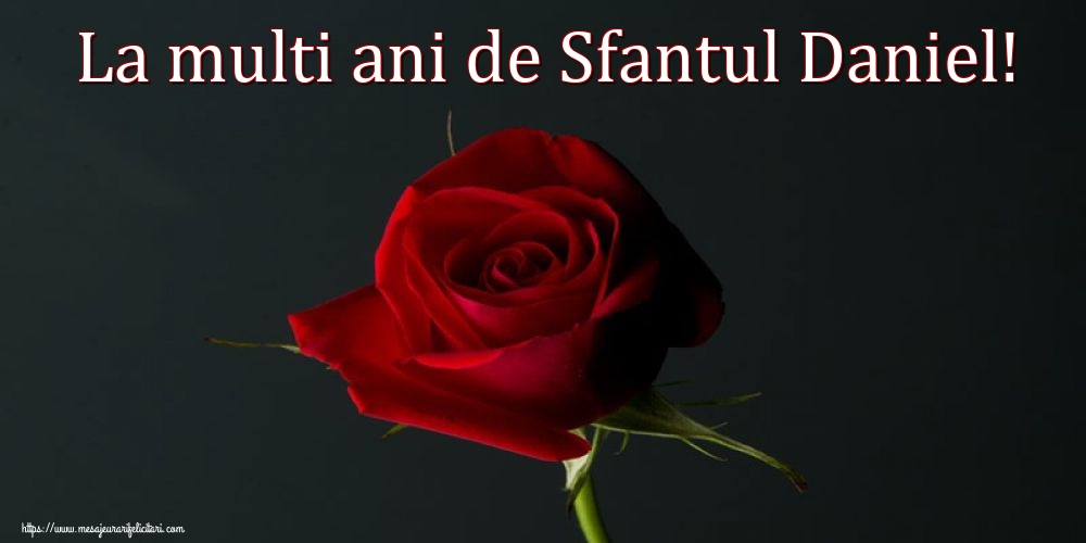 La multi ani de Sfantul Daniel! - Felicitari onomastice de Sfantul Daniel cu flori