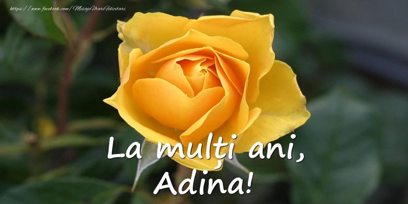 La mulți ani, Adina! - Felicitari onomastice cu trandafiri