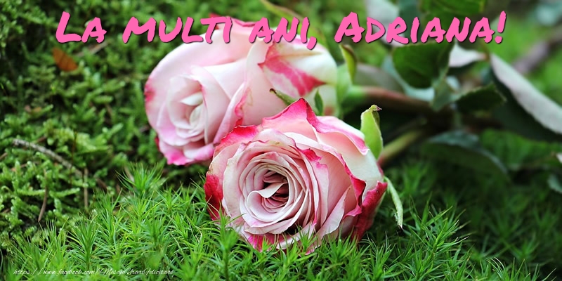 La multi ani, Adriana! - Felicitari onomastice cu trandafiri