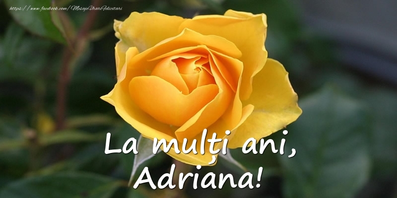 La mulți ani, Adriana! - Felicitari onomastice cu trandafiri