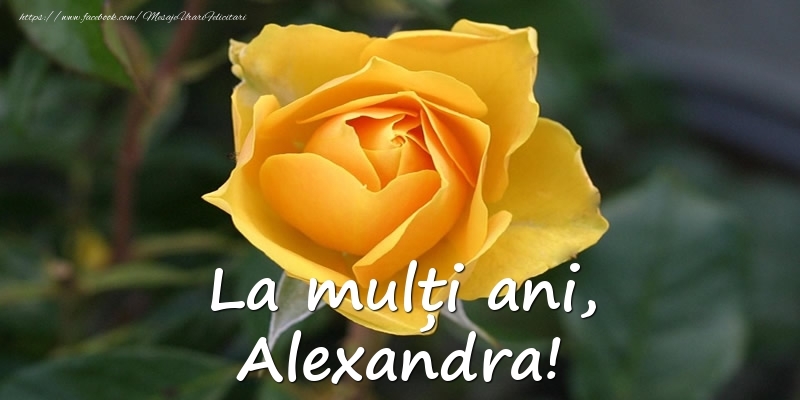 La mulți ani, Alexandra! - Felicitari onomastice cu trandafiri