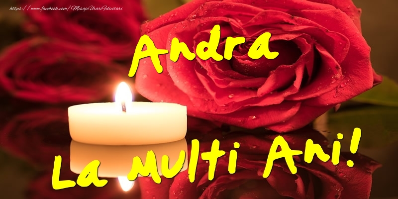 Andra La Multi Ani! - Felicitari onomastice cu trandafiri