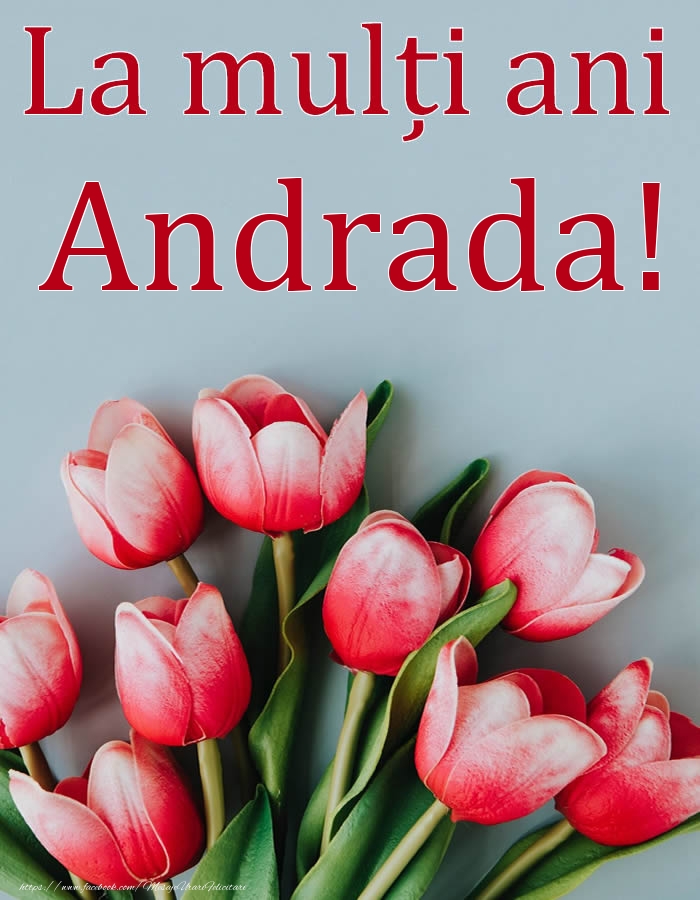 La mulți ani, Andrada! - Felicitari onomastice cu flori