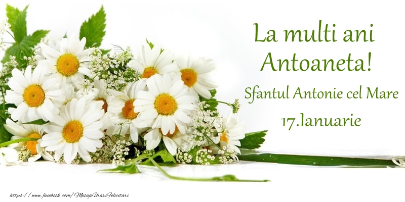La multi ani, Antoaneta! 17.Ianuarie - Sfantul Antonie cel Mare - Felicitari onomastice