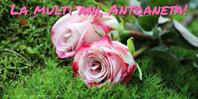 La multi ani, Antoaneta! - Felicitari onomastice cu trandafiri