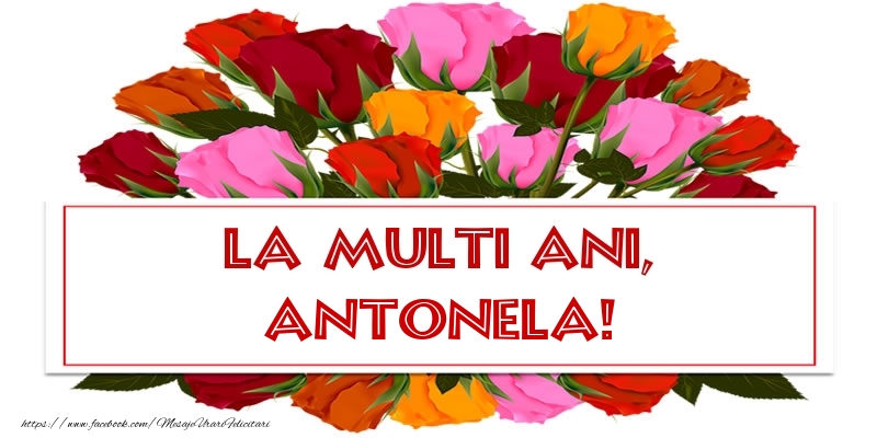 La multi ani, Antonela! - Felicitari onomastice cu trandafiri
