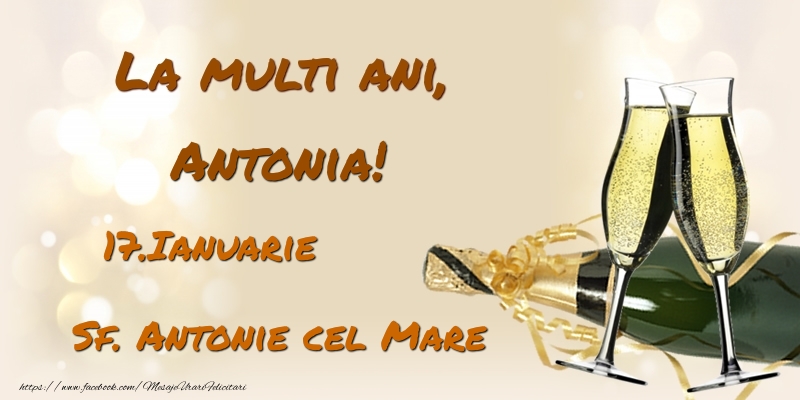 La multi ani, Antonia! 17.Ianuarie - Sf. Antonie cel Mare - Felicitari onomastice