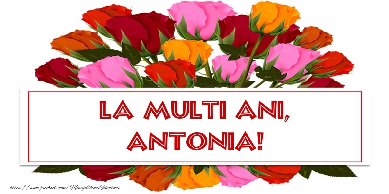 La multi ani, Antonia! - Felicitari onomastice cu trandafiri