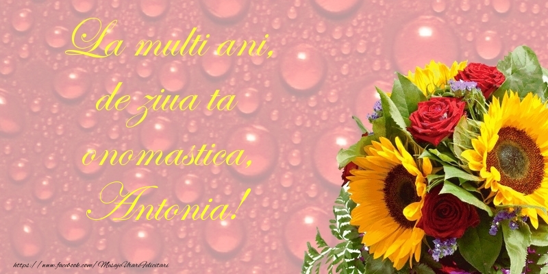 La multi ani, de ziua ta onomastica, Antonia - Felicitari onomastice cu flori