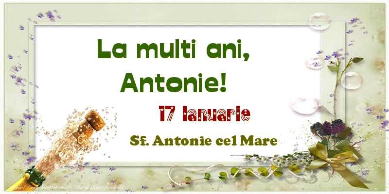 La multi ani, Antonie! 17 Ianuarie Sf. Antonie cel Mare - Felicitari onomastice
