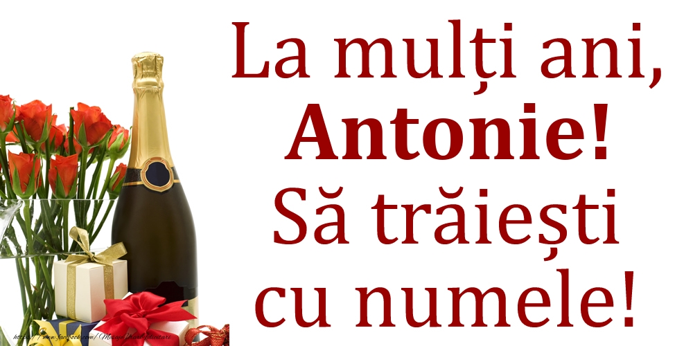 La mulți ani, Antonie! Să trăiești cu numele! - Felicitari onomastice cu cadouri