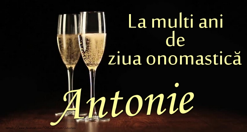 La multi ani de ziua onomastică Antonie - Felicitari onomastice cu sampanie