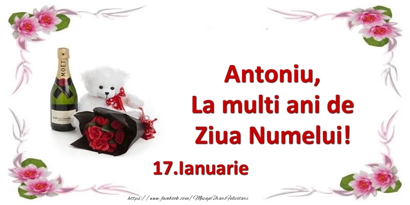 Antoniu, la multi ani de ziua numelui! 17.Ianuarie - Felicitari onomastice