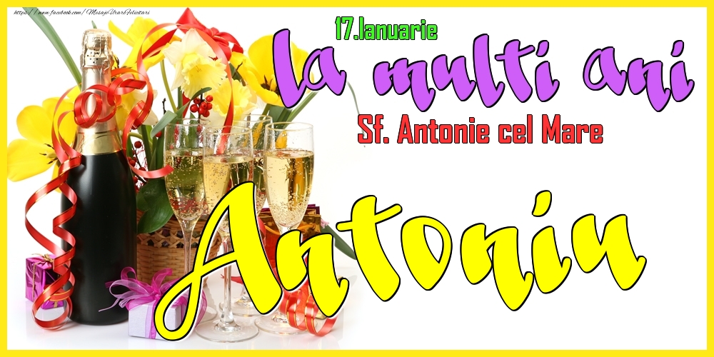 17.Ianuarie - La mulți ani Antoniu! - Sf. Antonie cel Mare - Felicitari onomastice