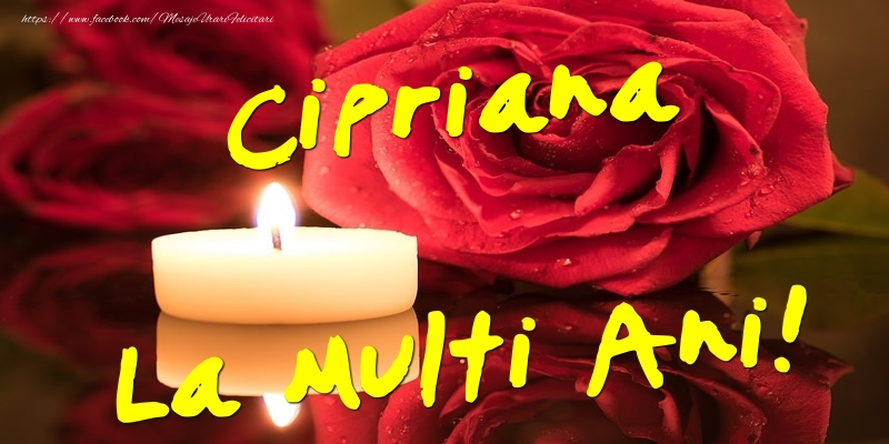 Cipriana La Multi Ani! - Felicitari onomastice cu trandafiri