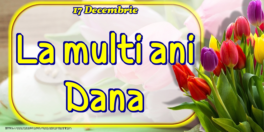 17 Decembrie -La  mulți ani Dana! - Felicitari onomastice