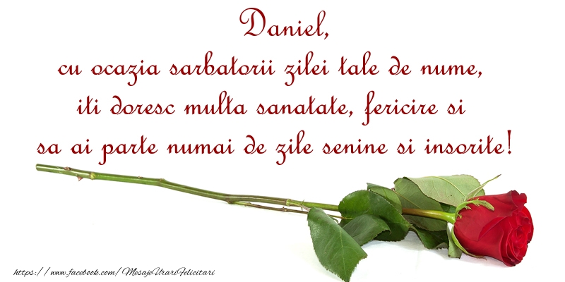 Daniel, cu ocazia sarbatorii zilei tale de nume, iti doresc multa sanatate, fericire si sa ai parte numai de zile senine si insorite! - Felicitari onomastice cu trandafiri