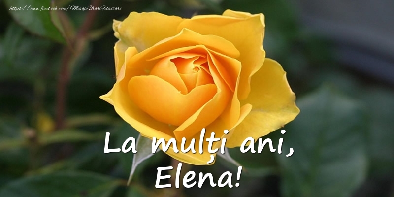  La mulți ani, Elena! - Felicitari onomastice cu trandafiri