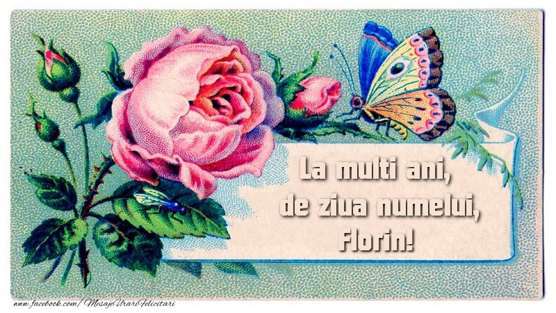 La multi ani, de ziua numelui Florin - Felicitari onomastice cu flori