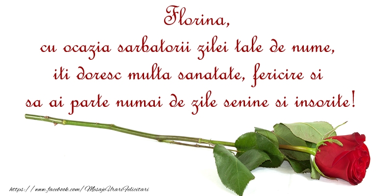 Florina, cu ocazia sarbatorii zilei tale de nume, iti doresc multa sanatate, fericire si sa ai parte numai de zile senine si insorite! - Felicitari onomastice cu trandafiri
