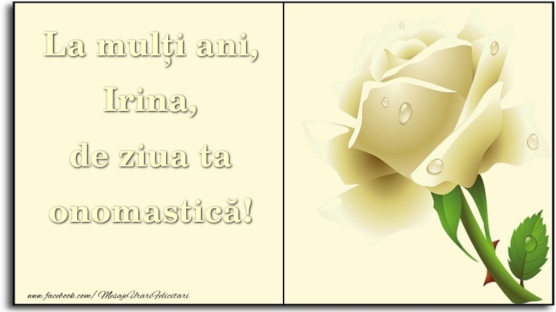 La mulți ani, de ziua ta onomastică! Irina - Felicitari onomastice cu trandafiri
