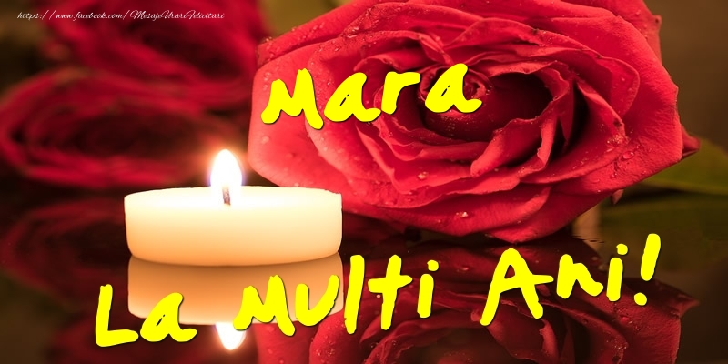  Mara La Multi Ani! - Felicitari onomastice cu trandafiri