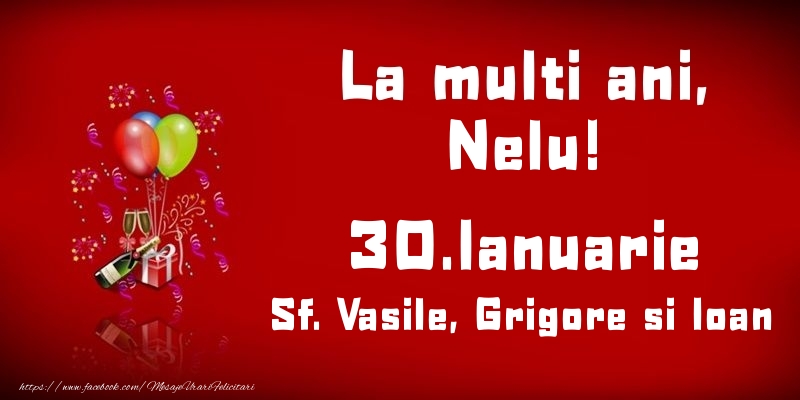 La multi ani, Nelu! Sf. Vasile, Grigore si Ioan - 30.Ianuarie - Felicitari onomastice
