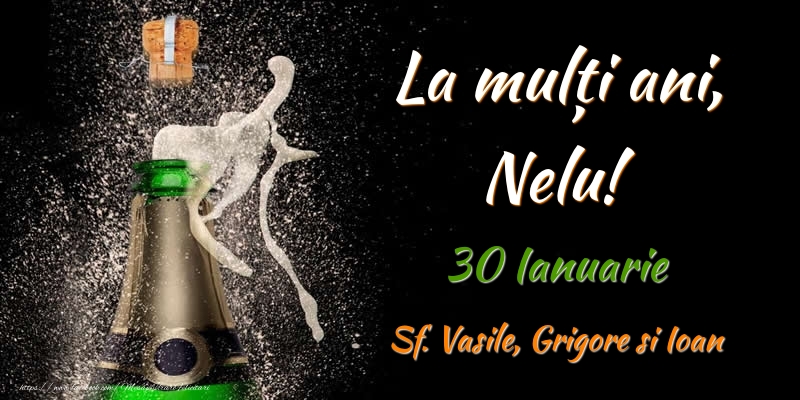 La multi ani, Nelu! 30 Ianuarie Sf. Vasile, Grigore si Ioan - Felicitari onomastice