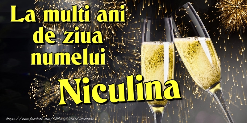 La multi ani de ziua numelui Niculina - Felicitari onomastice cu artificii