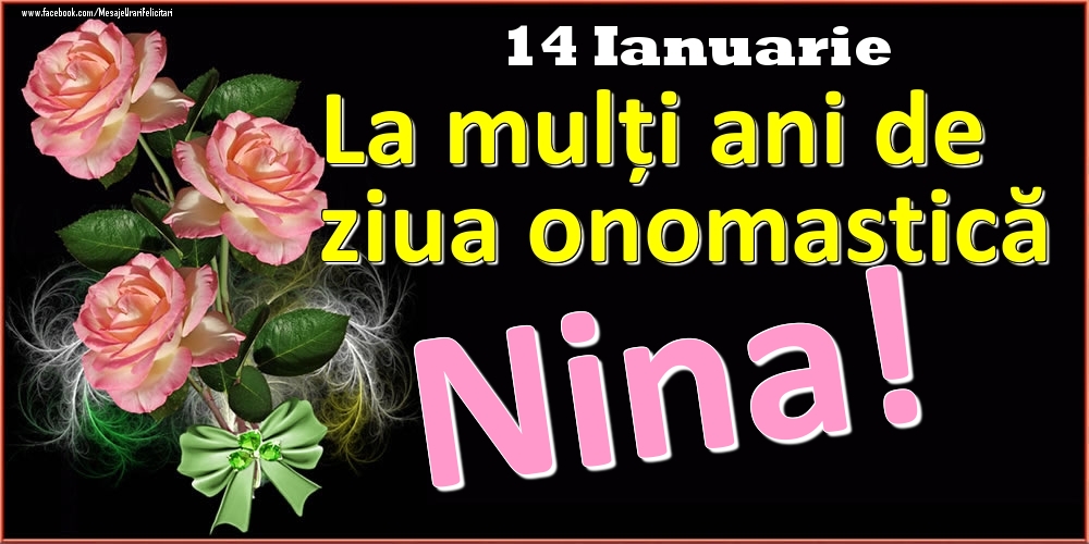 La mulți ani de ziua onomastică Nina! - 14 Ianuarie - Felicitari onomastice