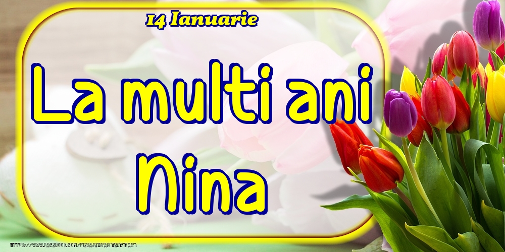 14 Ianuarie -La  mulți ani Nina! - Felicitari onomastice