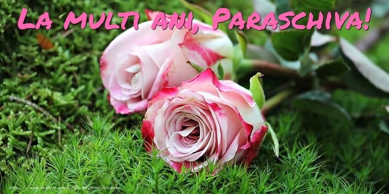 La multi ani, Paraschiva! - Felicitari onomastice cu trandafiri