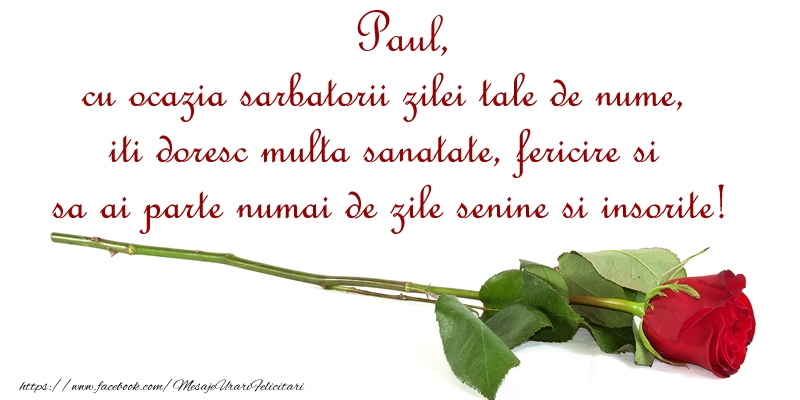 Paul, cu ocazia sarbatorii zilei tale de nume, iti doresc multa sanatate, fericire si sa ai parte numai de zile senine si insorite! - Felicitari onomastice cu trandafiri