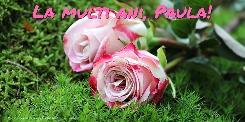 La multi ani, Paula! - Felicitari onomastice cu trandafiri
