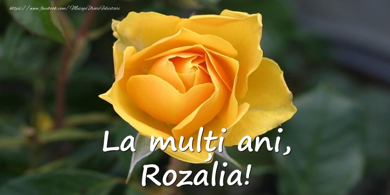 La mulți ani, Rozalia! - Felicitari onomastice cu trandafiri