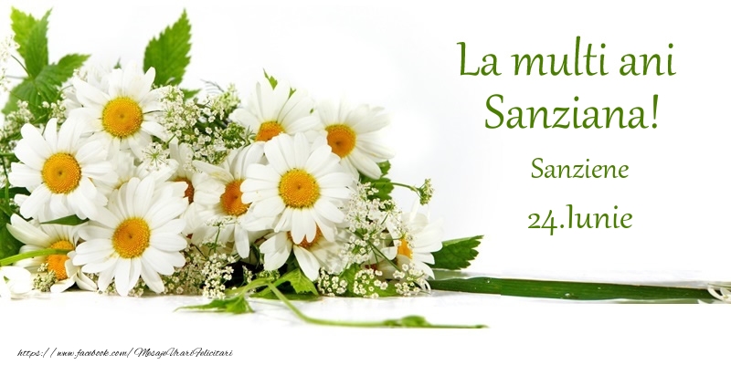La multi ani, Sanziana! 24.Iunie - Sanziene - Felicitari onomastice