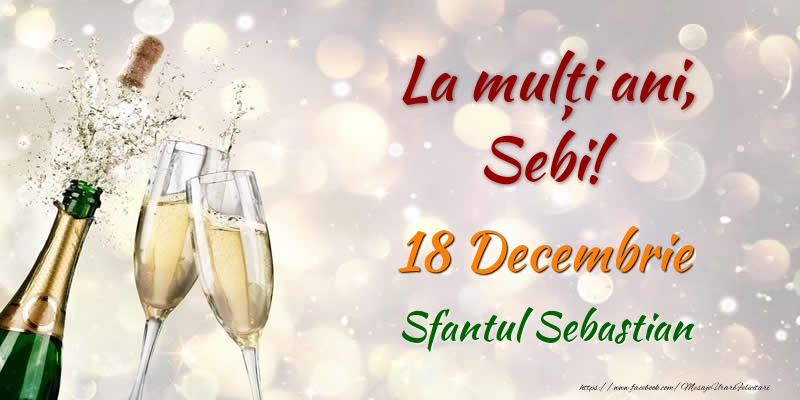 La multi ani, Sebi! 18 Decembrie Sfantul Sebastian - Felicitari onomastice