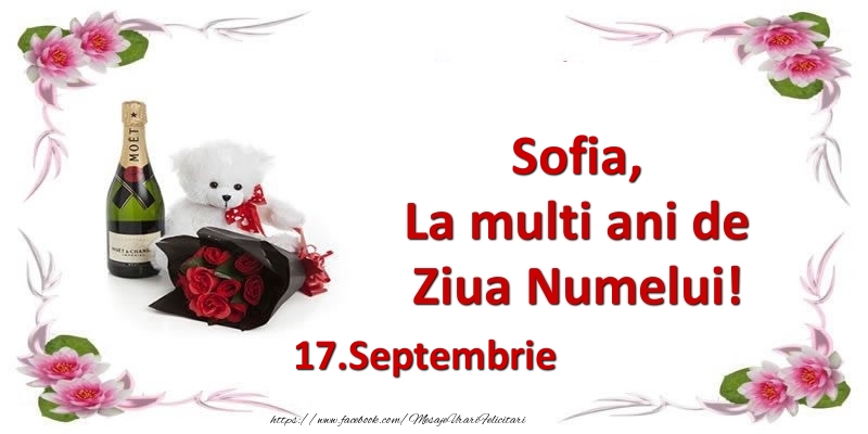 Sofia, la multi ani de ziua numelui! 17.Septembrie - Felicitari onomastice