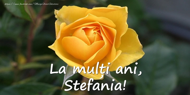 La mulți ani, Stefania! - Felicitari onomastice cu trandafiri