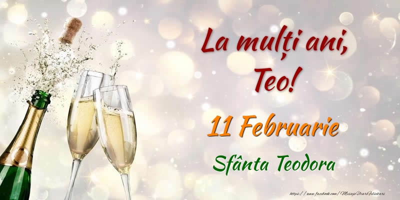La multi ani, Teo! 11 Februarie Sfânta Teodora - Felicitari onomastice