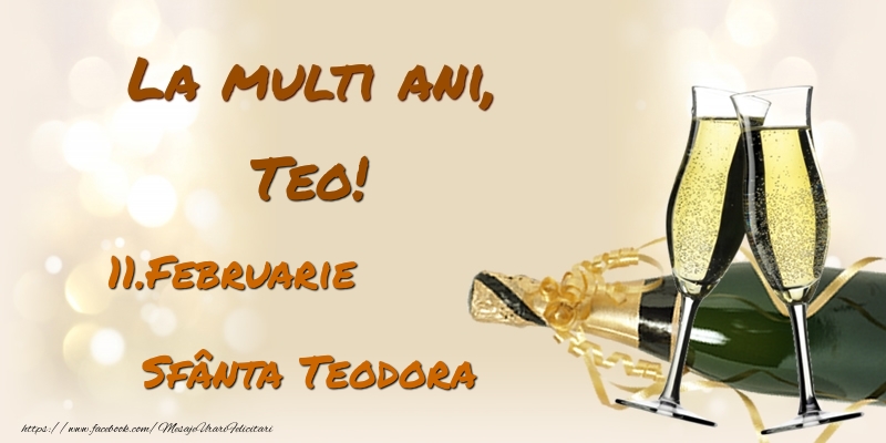 La multi ani, Teo! 11.Februarie - Sfânta Teodora - Felicitari onomastice