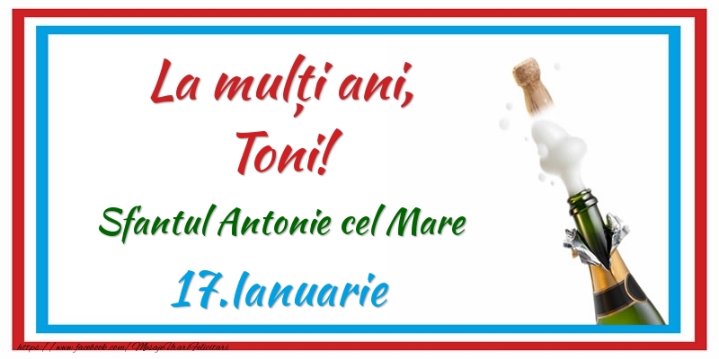 La multi ani, Toni! 17.Ianuarie Sfantul Antonie cel Mare - Felicitari onomastice